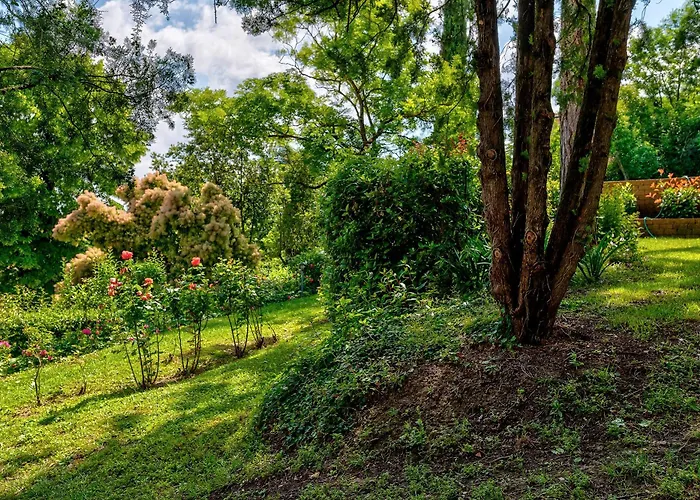 Letizia アパート *